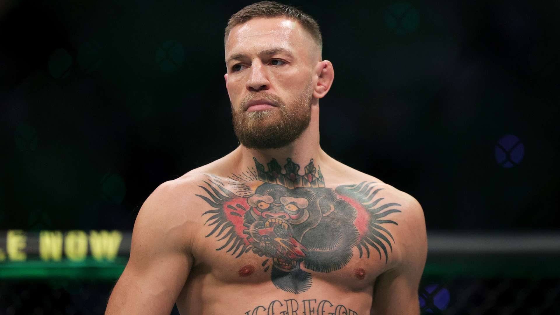 全力以赴大 全力以赴大